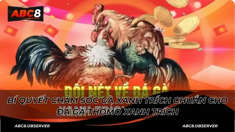 Khám phá đôi nét về loại hình đá gà thomo xanh trích