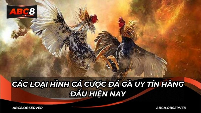 Các Loại Cược Đá Gà Phổ Biến Tại ABC8 – Lựa Chọn Linh Hoạt, Tối Ưu Cơ Hội Thắng