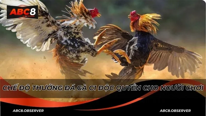 Đá gà C1 là gì và khám phá các thông tin cơ bản