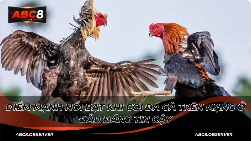 “Cửa trên” và “cửa dưới” - Thuật ngữ cá cược phổ biến
