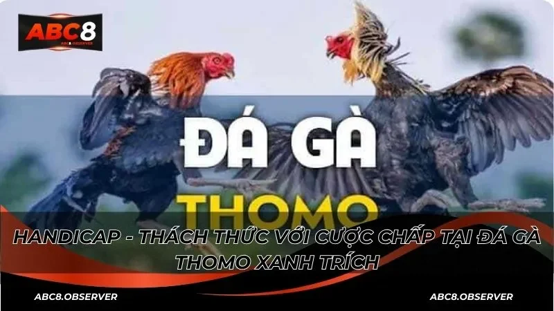 Thuật ngữ cần biết trong đá gà thomo xanh trích