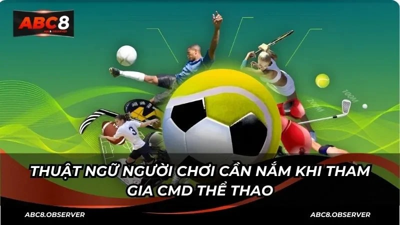 Odds - Bí quyết cược với tỷ lệ thắng lớn